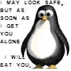 Penguin avatars