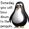 Penguin avatars