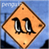 Penguin avatars