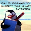 Penguin avatars