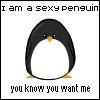 Penguin avatars