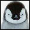 Penguin avatars