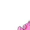Pigs avatars