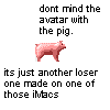 Pigs avatars