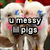 Pigs avatars
