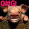 Pigs avatars