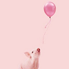 Pigs avatars