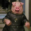 Pigs avatars