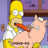 Pigs avatars
