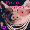 Pigs avatars