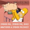 Pigs avatars