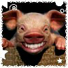 Pigs avatars