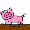 Pigs avatars