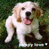 Puppy avatars