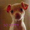 Puppy avatars