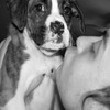 Puppy avatars