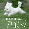 Puppy avatars