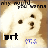 Puppy avatars