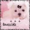 Puppy avatars