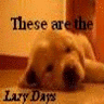 Puppy avatars