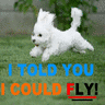 Puppy avatars
