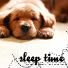 Puppy avatars