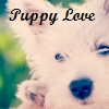 Puppy avatars