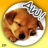 Puppy avatars