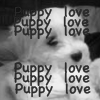 Puppy avatars