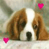 Puppy avatars