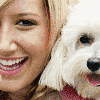 Puppy avatars