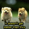 Puppy avatars