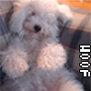 Puppy avatars