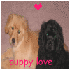 Puppy avatars