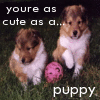 Puppy avatars