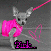 Puppy avatars