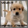 Puppy avatars