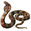 Snakes avatars