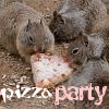 Squirrel avatars