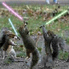 Squirrel avatars