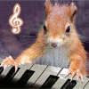 Squirrel avatars