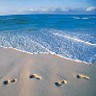 Beach avatars