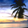 Beach avatars