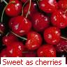 Cherries avatars