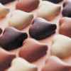 Chocolate avatars