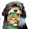 Dogs avatars