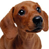 Dogs avatars