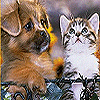Dogs avatars