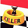 Dogs avatars