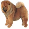 Dogs avatars